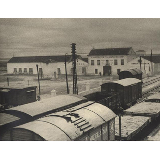 Cooperativa San Antonio Abad