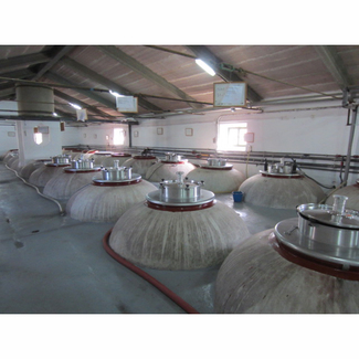 Depósitos Bodega barreda