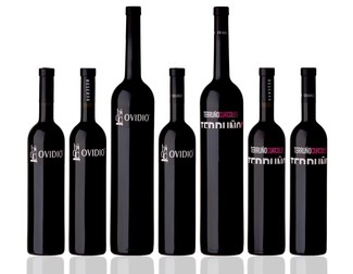 Vinos de Bernal García-Chicote