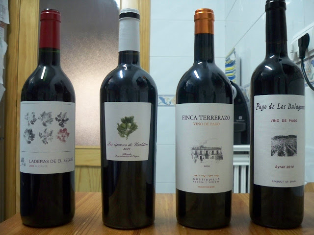 Cata de aproximación a los vinos tintos alicantinos y valencianos