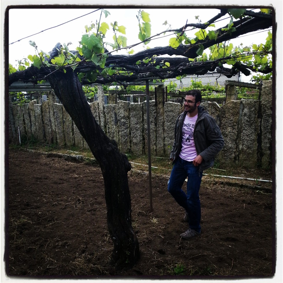 Albamar: albariños con Alma de Mar Albamar: albariños con Alma de Mar