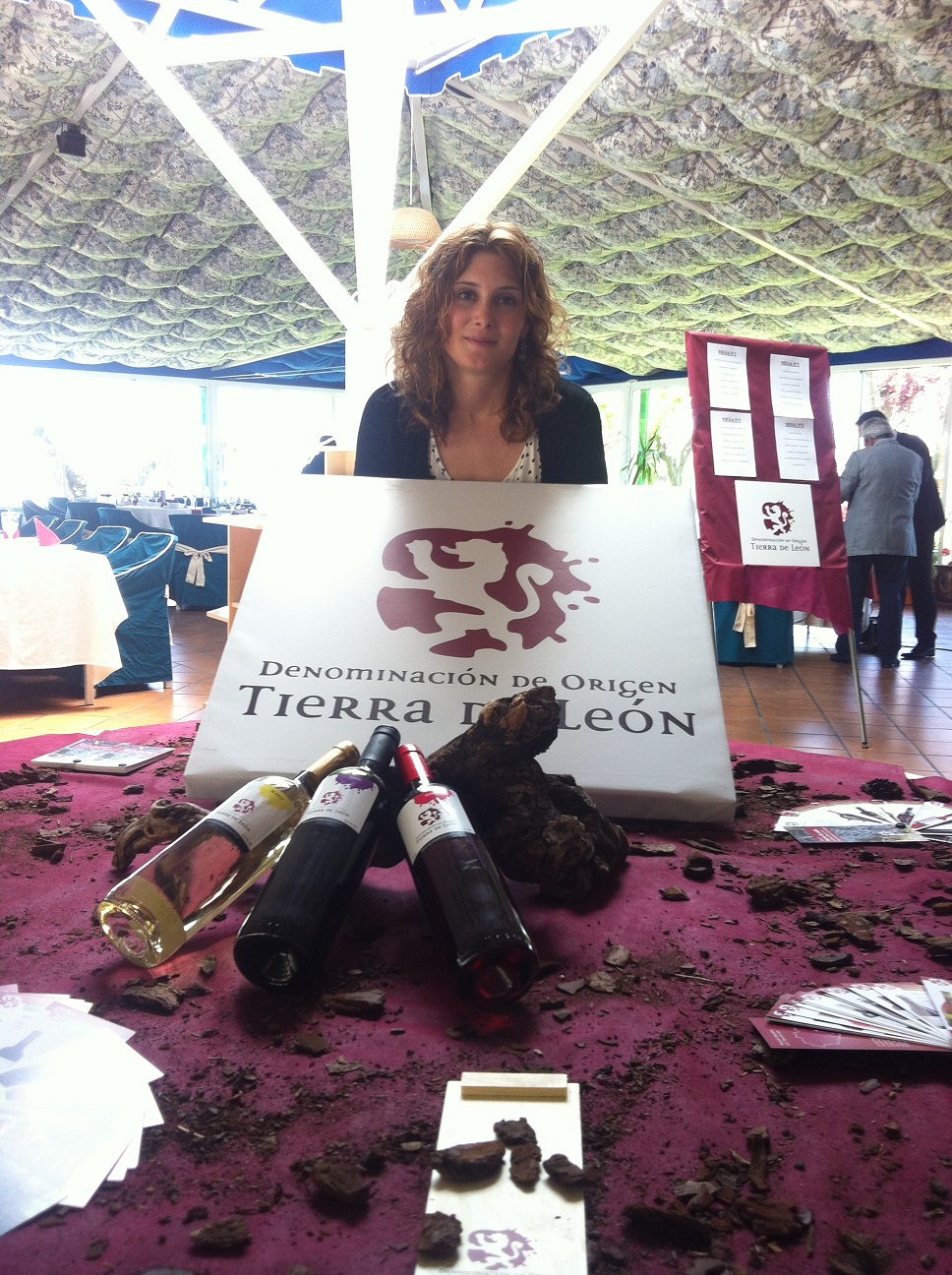 Calificación de añada 2.012 Denominación de Origen Tierra de León: MUY BUENA