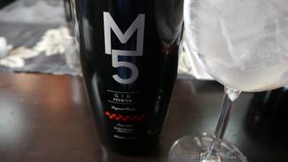 Gin M5