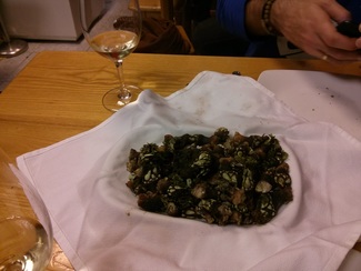 Percebes