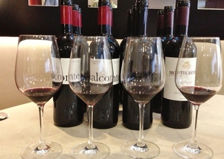 Alconte crianza 2010