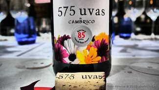575 Uvas de Cámbrico 2009