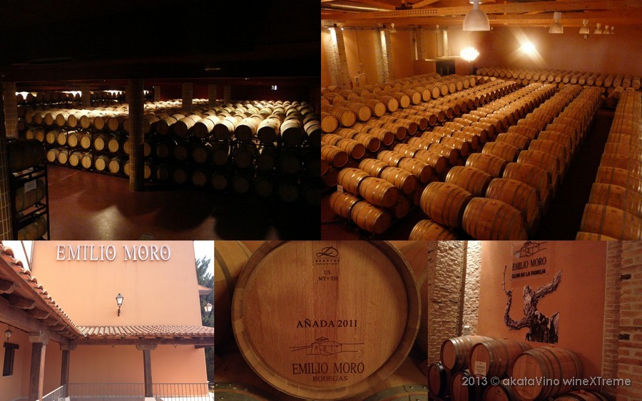 Bodegas Emilio Moro. Nueva imagen arraigada a su historia.