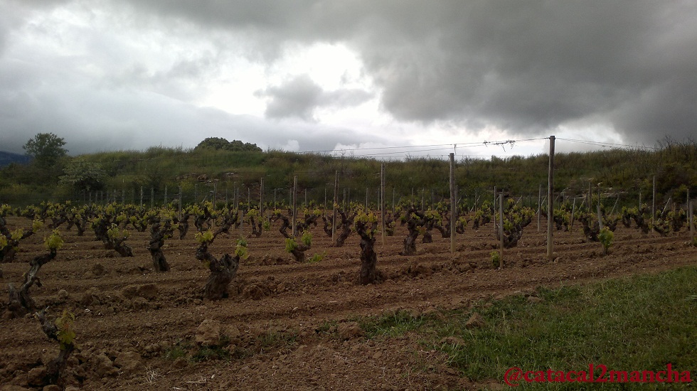 Rioja Alta, puro disfrute