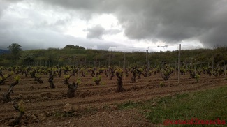 Rioja Alta, puro disfrute