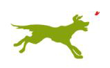 Jaume de la Iguana presenta en Madrid El Perro Verde 2012