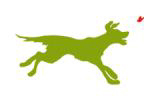 Jaume de la Iguana presenta en Madrid El Perro Verde 2012