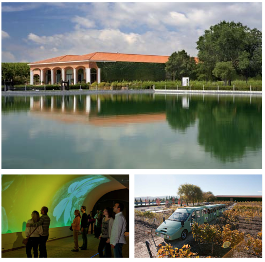 Visitantes a bodegas asociadas a las Rutas del Vino de España en 2012