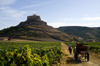 La Ruta del Vino Ribera del Duero renueva su certificación como "Ruta del Vino de España" 