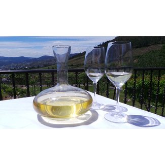 Exterior Viña Somoza