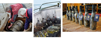 Vinos submarinos: vinos envejecidos bajo el mar