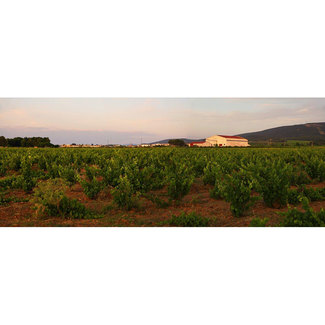 Panorámica Torrevellisca