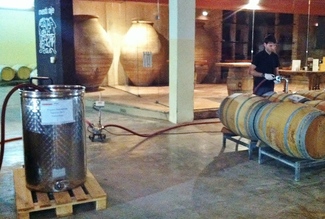 Makingonline en Mustiguillo con SingularWINE y Verema