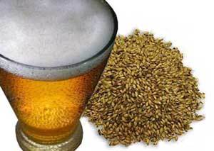 La levadura de cerveza como complemento alimenticio