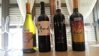 Bodega Viña Peraillo - Chile