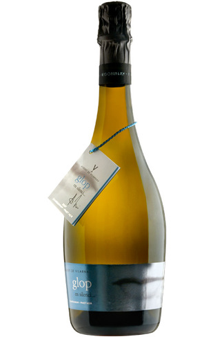 Albert de Vilarnau Brut Nature Chardonnay - Pinot Noir 2008