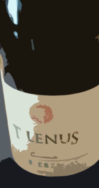 Vino Tilenus Crianza 2006