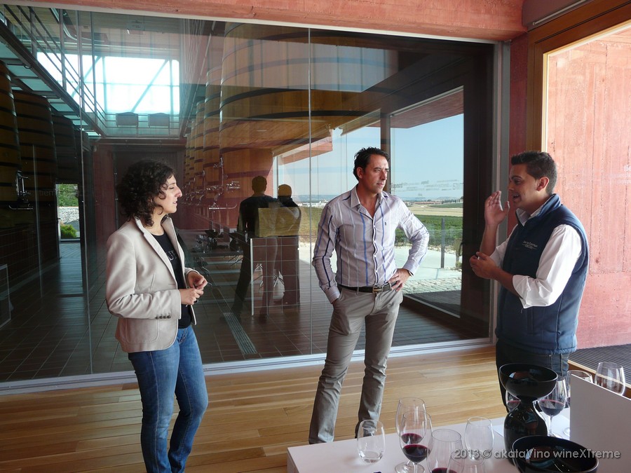 Video desde Pago de Carraovejas analizando la añada 2010 del Vino Tinto + valorado por los foreros de Verema