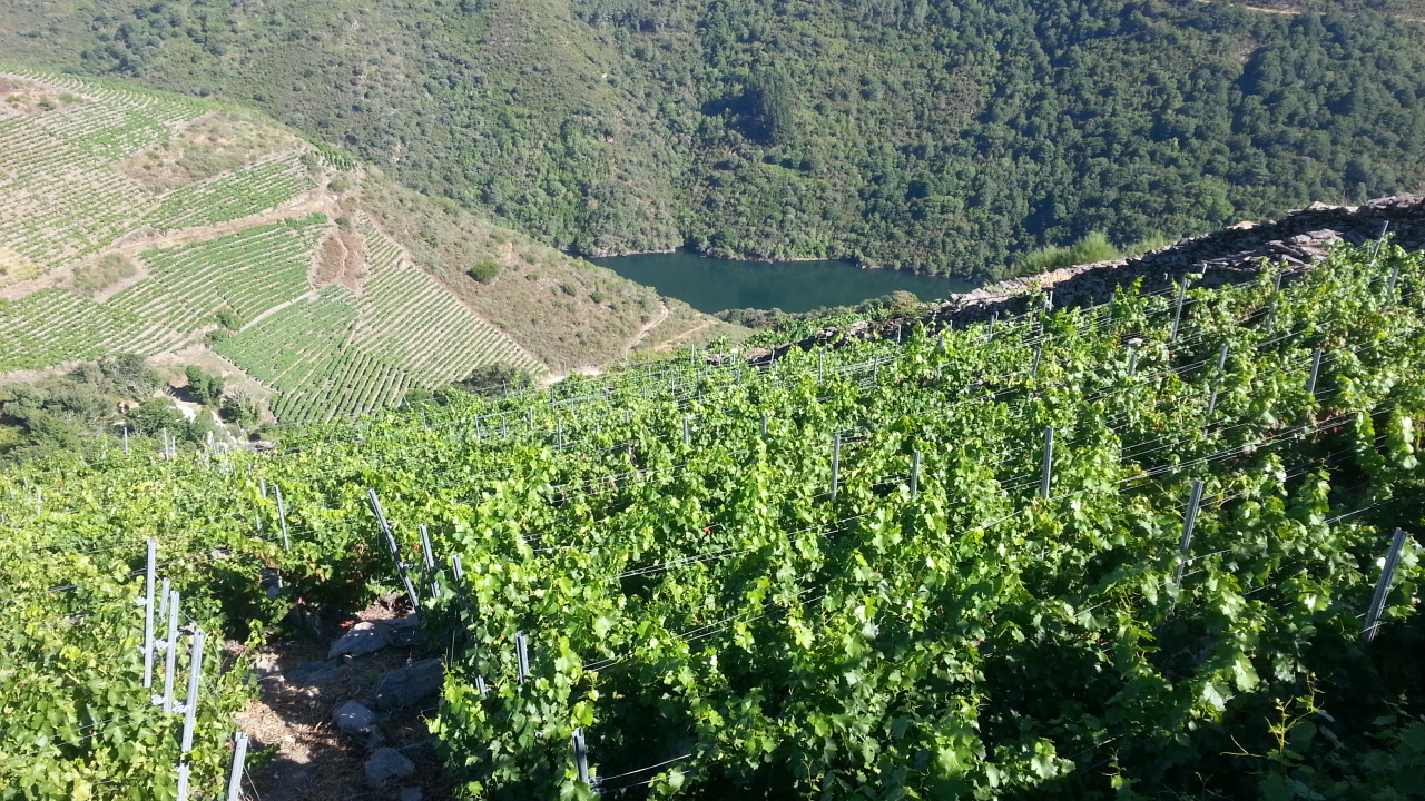 Enoturismo III: Viticultura Heroica