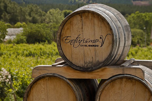 Enoturismo en el Bierzo. Reserva de los sentidos