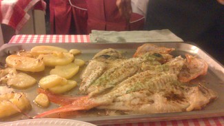 Rey con patata panadera