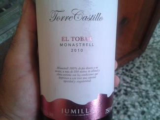 Torre Castillo El Tobar 2010