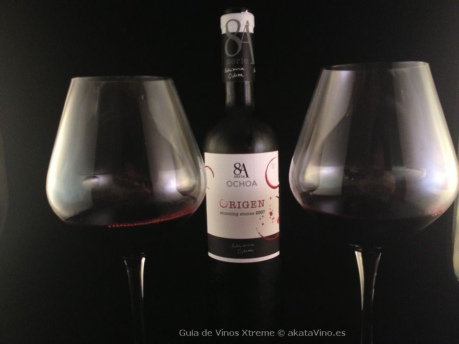 Ochoa Serie 8A Origen 2008 una virtual con ritmo
