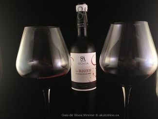 Ochoa Serie 8A Origen 2008 una virtual con ritmo