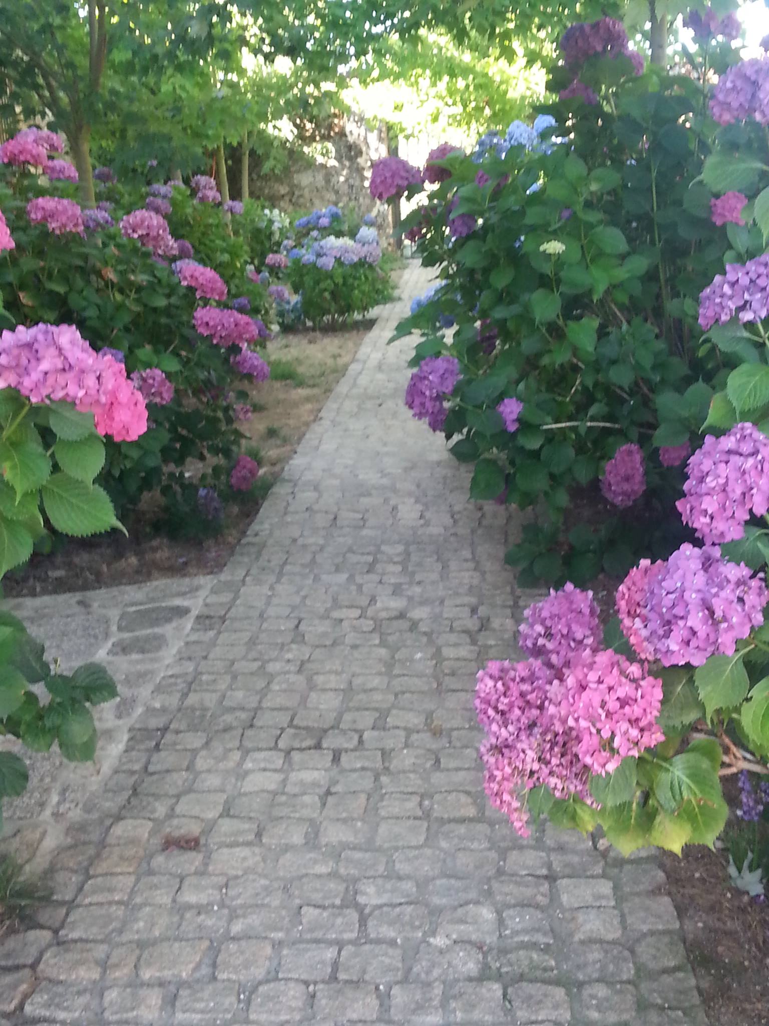 El Secreto Escondido de Galicia