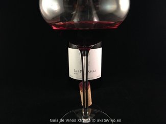 Las Pizarras del Jalón 2005