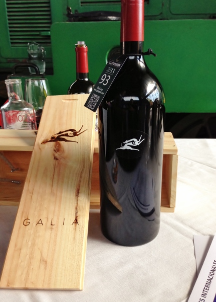 XIV Salón de los Mejores Vinos de España de la Guía Peñín: Capítulo I