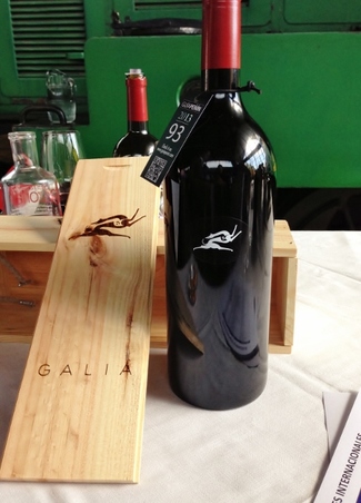 XIV Salón de los Mejores Vinos de España de la Guía Peñín: Capítulo I