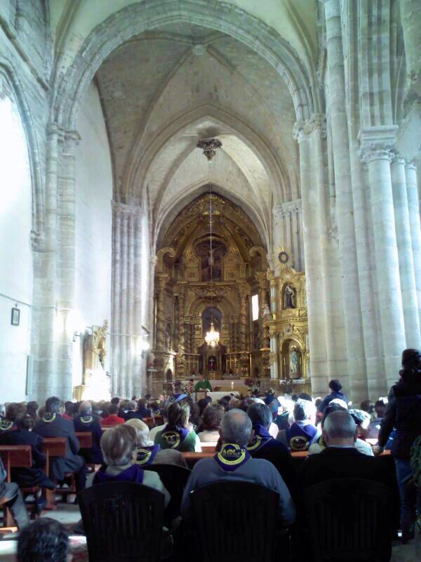 XVI Fiesta de la vendimia de DO Arlanza 2013