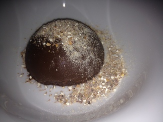 Restaurante Maíz Bistró en Valencia