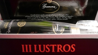 III Lustros by Maria Gema