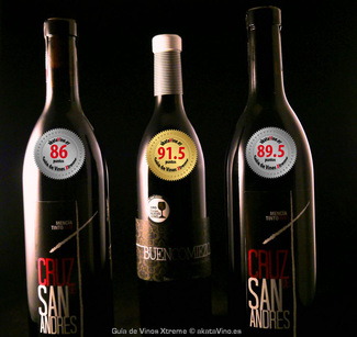 Cruz de San Andrés Tinto 2011