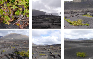 En la geria, en el paraíso