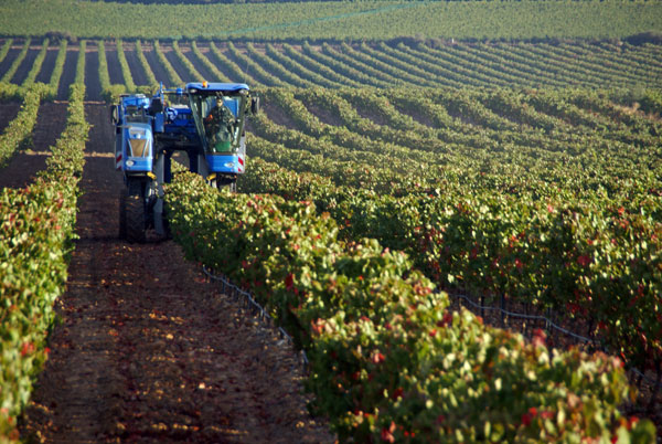 La medalla de oro para el  vino “Origen” de Bodegas Ochoa
