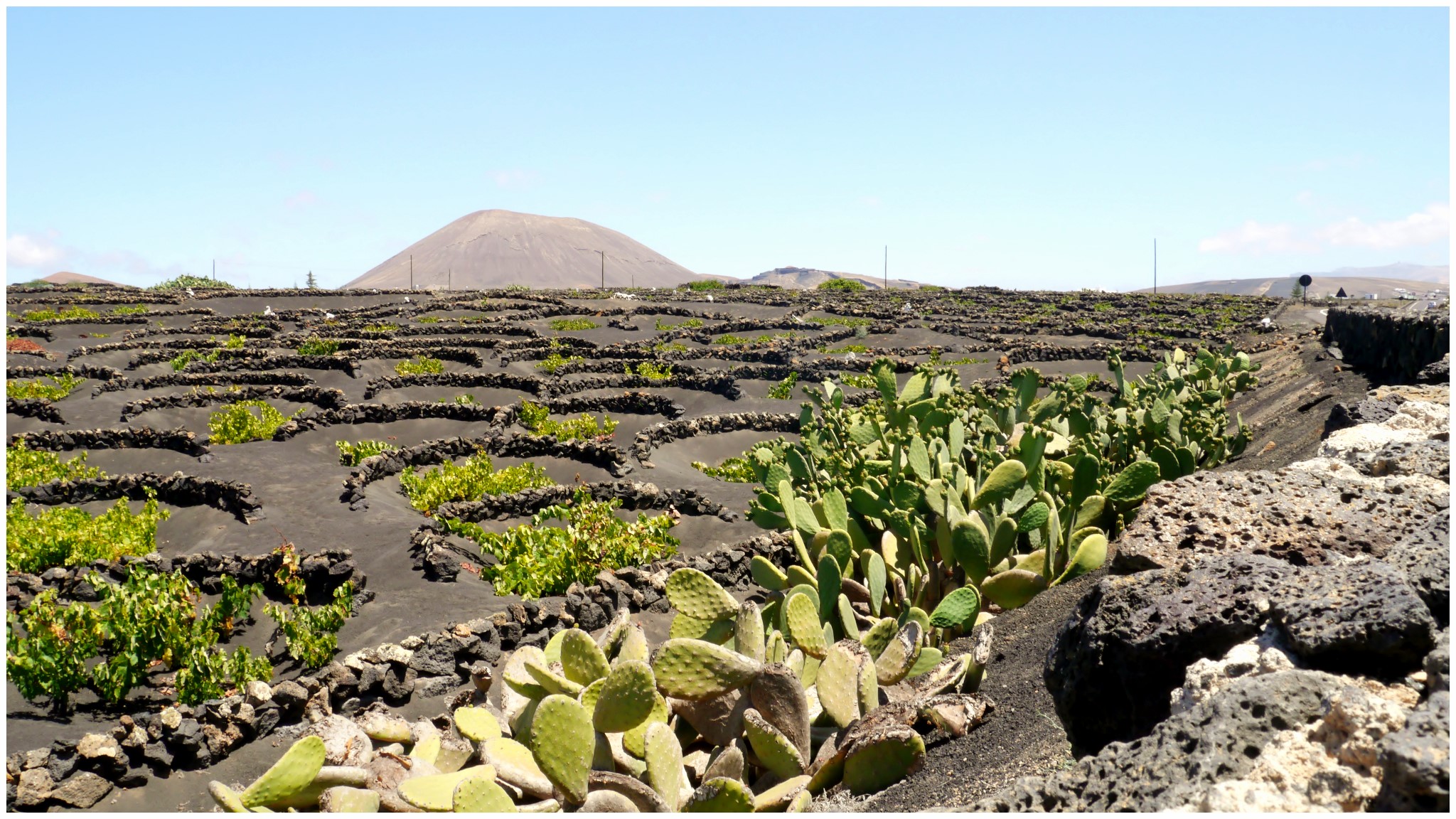 De Lanzarote a las Rías Baixas: paisajes opuestos, misma pasión