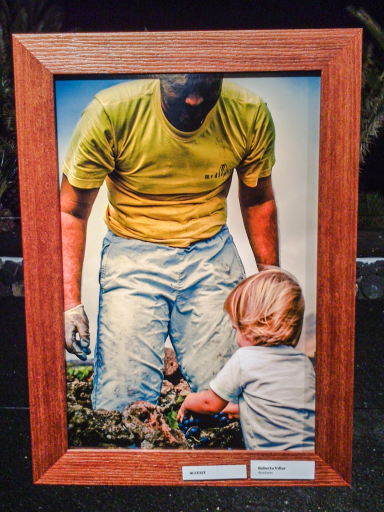 Actividades en bodegas: Concurso de fotografía en Los Bermejos