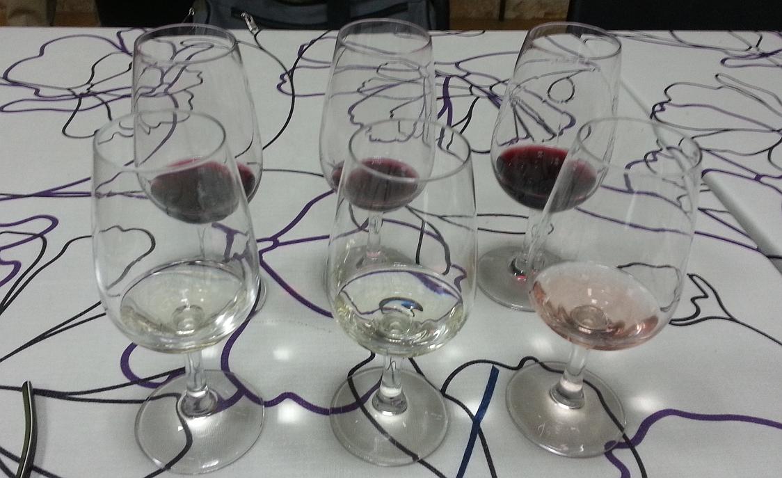 Presentación de Bodegas Sierra Norte