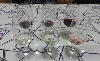 Presentación de Bodegas Sierra Norte