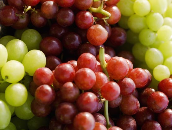 Vinos ecológico-sostenibles, la evolución del vino ecológico. 