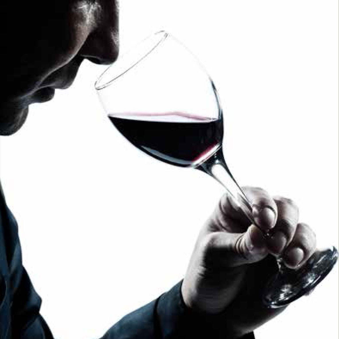 Grandes del mundo del vino participarán en el primer máster a nivel nacional que integra sumillería y enomarketing