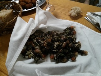Percebes