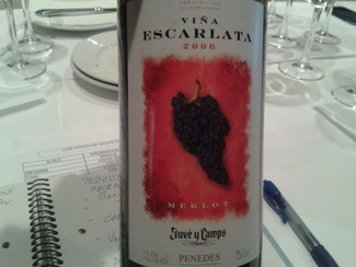Viña Escarlata Merlot 2006